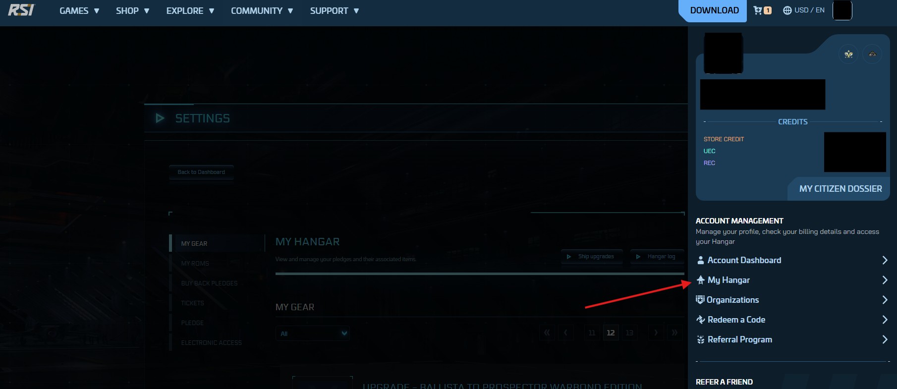 RSI Hangar Page